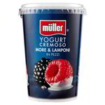 müller Yogurt Cremoso Vaniglia 500 g